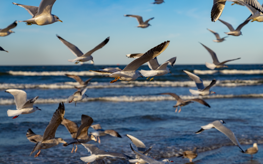 Fotografieren in Swinemünde – 3 Spots für ein Wochenende