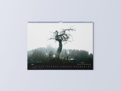 Kalender 2026 | Naturwunder – Bild 6