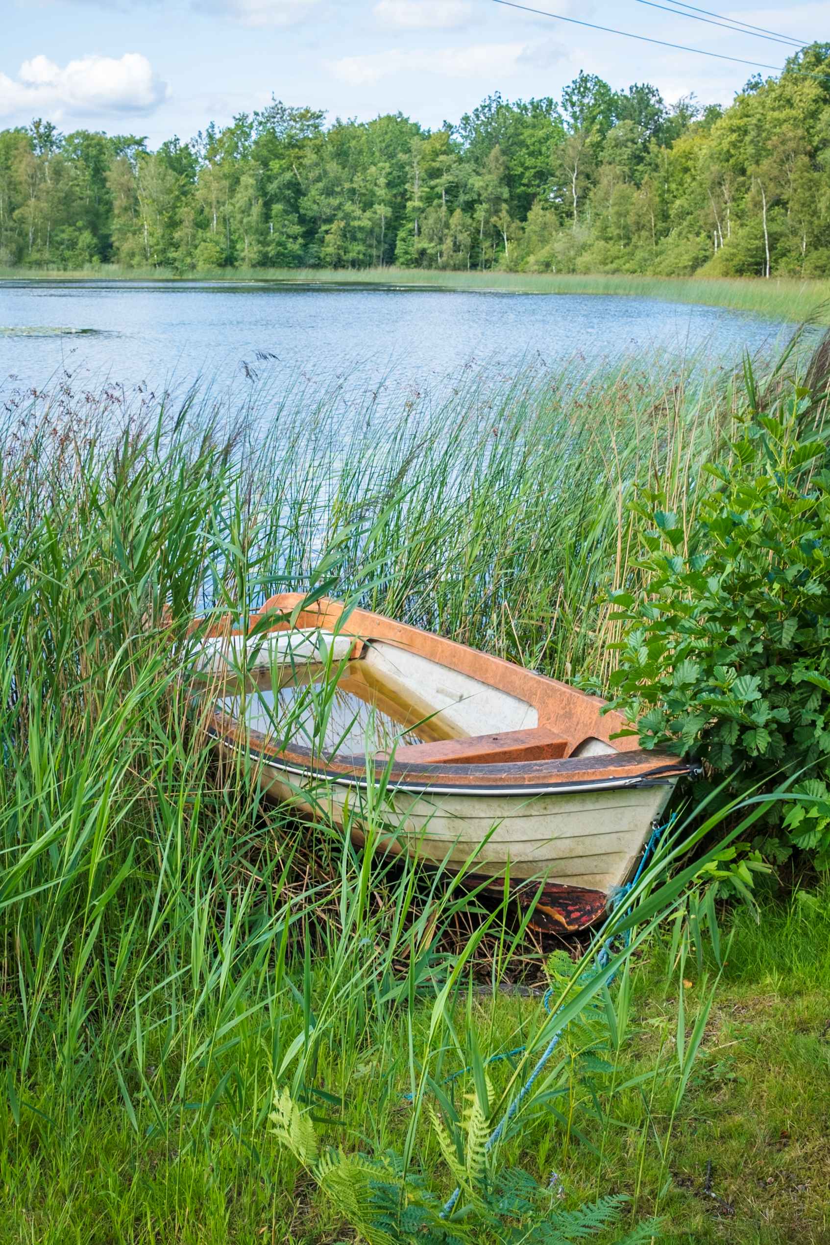 Schweden Zwischendurch-4